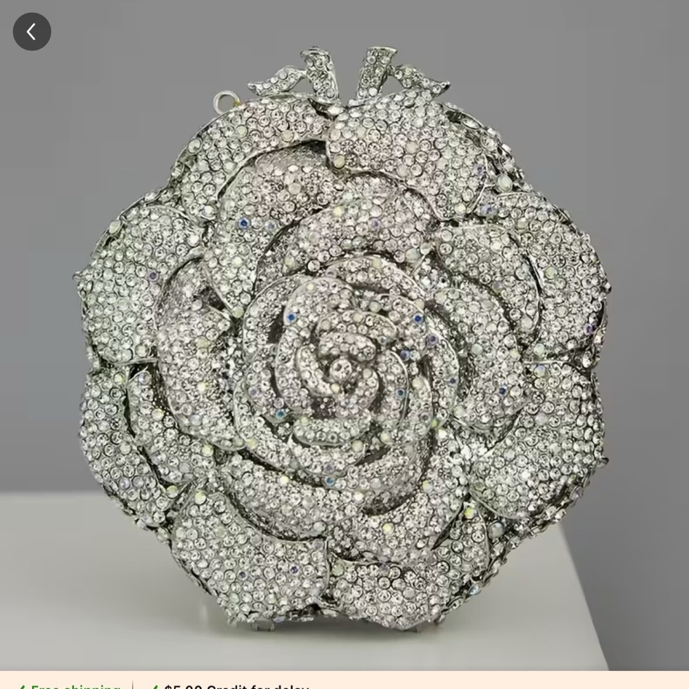 Rhinestone Clutch purse.